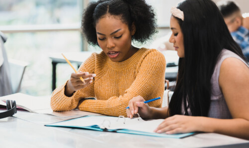 Teenage girls studying together