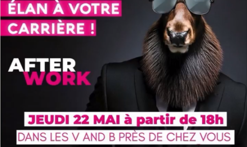 Sans titre